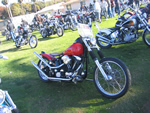 DAVID MANN SHOW 2007