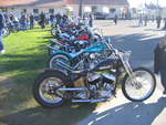 DAVID MANN SHOW 2007