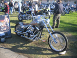 DAVID MANN SHOW 2008