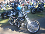 DAVID MANN SHOW 2007