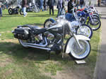 DAVID MANN CHOPPERFEST 2008