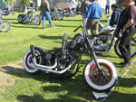 DAVID MANN CHOPPERFEST 2008